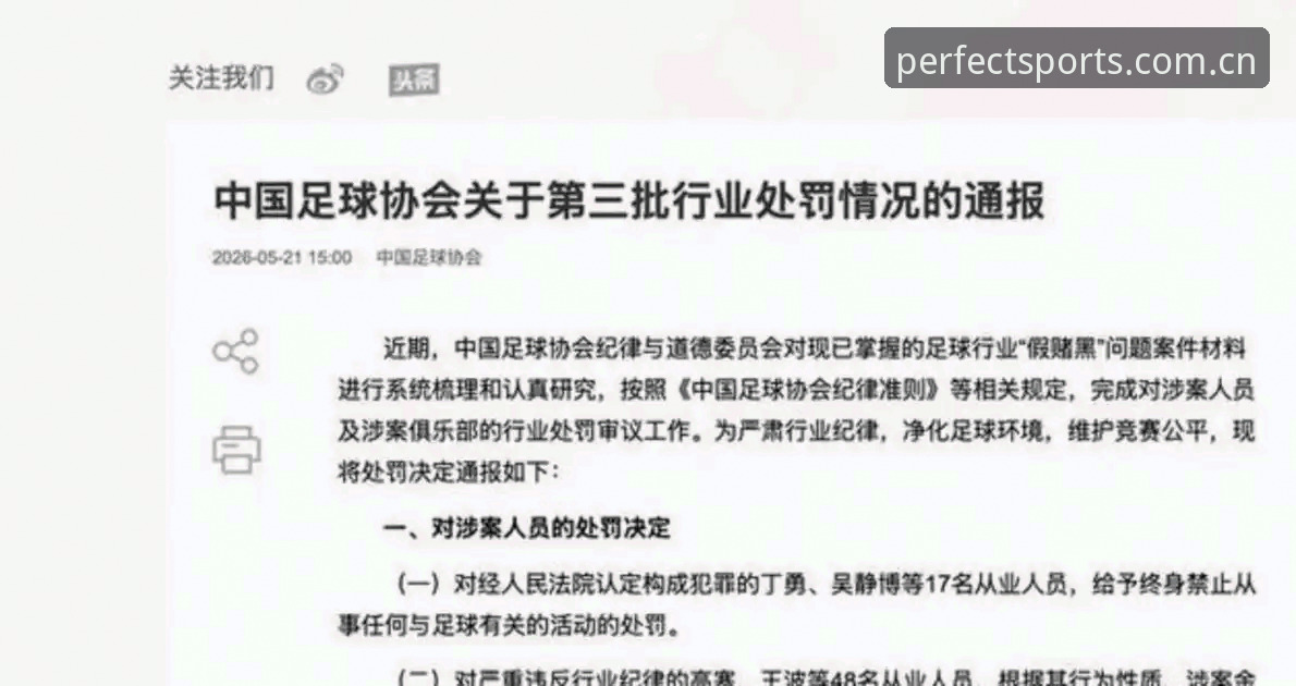 足协第三批禁足名单深度解析：65人受罚 vs 17人终身禁赛，中国足球反腐风暴再升级